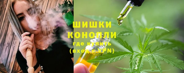 PSILOCYBIN Аркадак